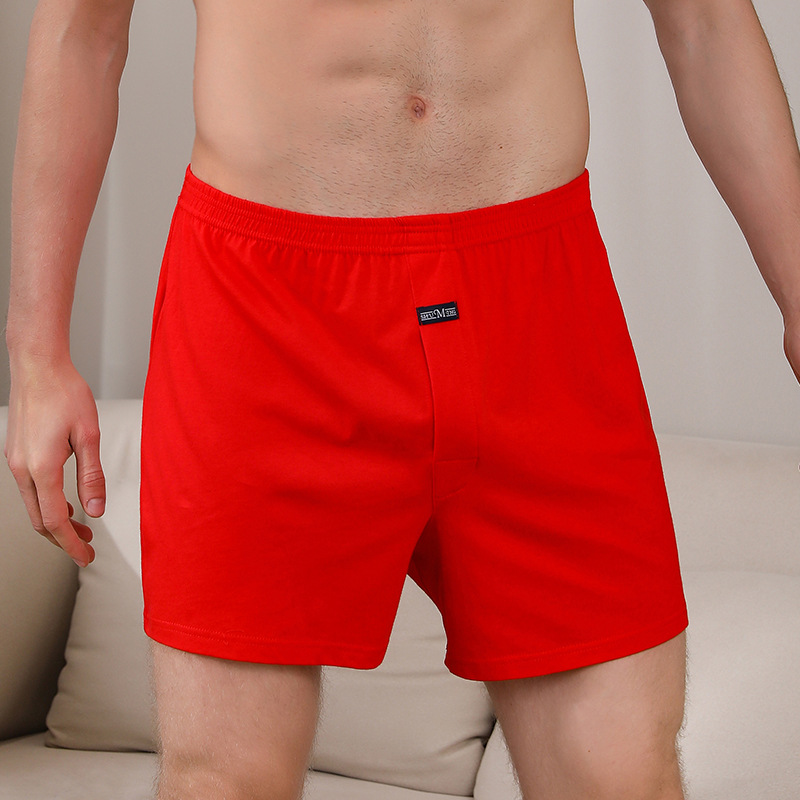 1 buah pakaian dalam Aro celan - Boxer Brief Pack Cotton ulasan dan harga
